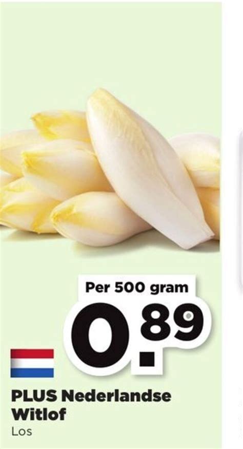 Nederlandse Witlof 500 Gram Aanbieding Bij Plus