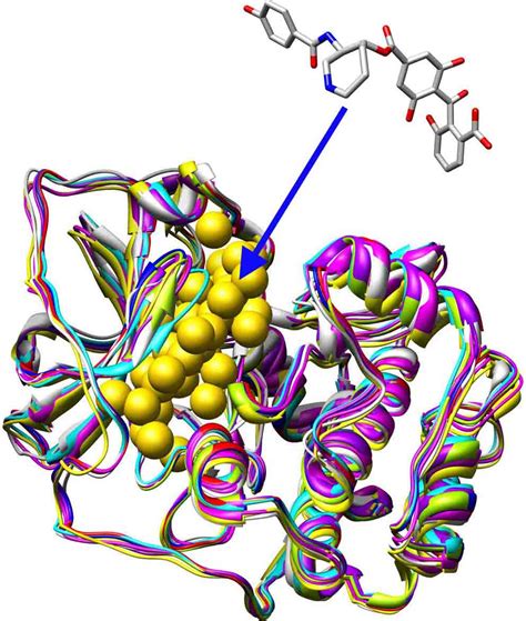 Molecular docking | Analytical Wiki | FANDOM powered by Wikia