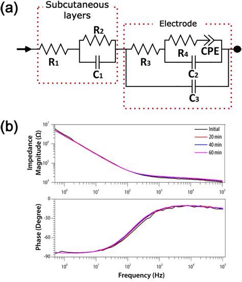 Characterization Of Electrodeskin Impedance A Equivalent Circuit