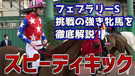 【フェブラリーs】強き地方馬スピーディキックを徹底解説！鞍上御神本と共に益田魂を背負って中央に挑む！【スピーディキック】 Youtube