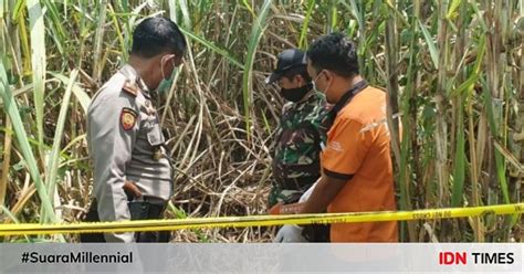 Warga Jombang Gempar Kerangka Manusia Ditemukan Di Kebun Tebu