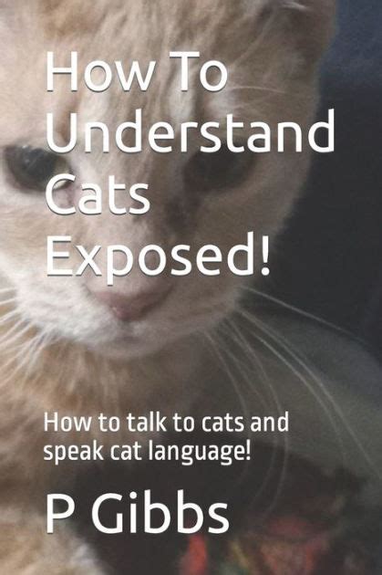 How To Understand Cats Exposed How To Talk To Cats And Speak Cat