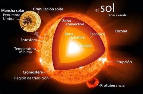 Qué es el sol Definición características y funcionamiento Como