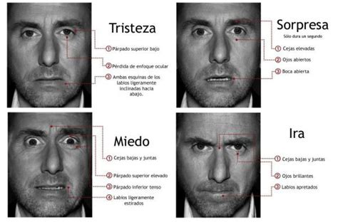 La Expresión Facial Comunicación No Verbal