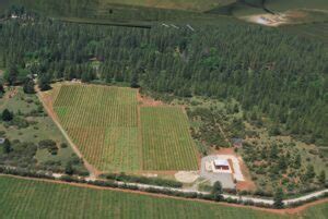 Photos Sierra Cascade Blueberry Farm