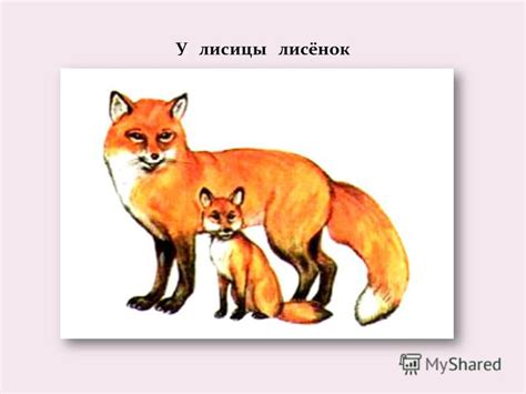 Презентация на тему Живая природа Что из чего растёт Салагаева ЛМ