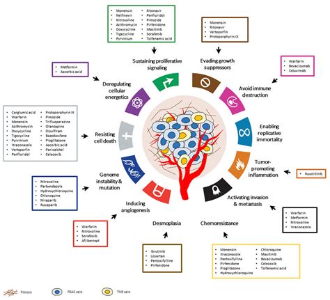 The Hallmarks Of Cancer And Other Pathological Characteristics Of