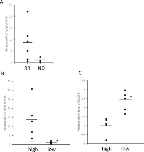 Cd138 Positive Patient Derived Multiple Myeloma Cells With High Myc