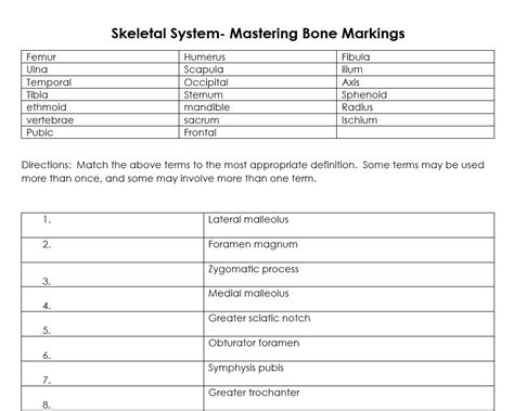 Skeletal System Mastering Bone Markings Worksheet Anatomy Teaching