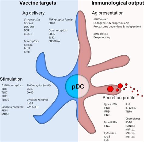 Plasmacytoid Dendritic Cells Pdcs Express A Wide Variety Of Pattern