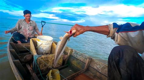 Keseruan Mancing Rawai Ikan Sembilang Youtube