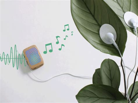 Plant Music By Among The Jungle — Among The Jungle