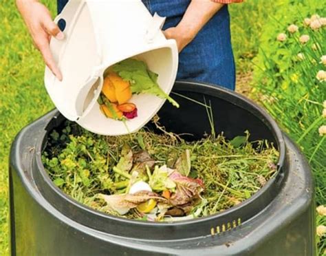 C Mo Hacer Compost En Casa Gu A Para Principiantes Eco Jard N M Gico