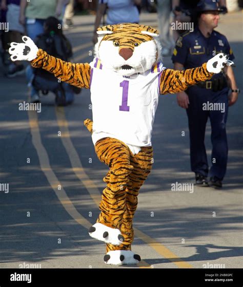 LSU mascot Mike the Tiger arrives at Tiger Stadium before the start of ...