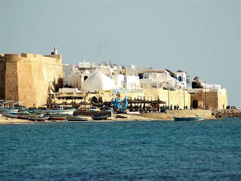 Voyage Organise Par Bus Hammamet Sousse Djerba Monastir Alger