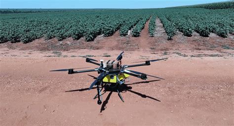 Drone na Pulverização Produtores de algodão apostam na gestão