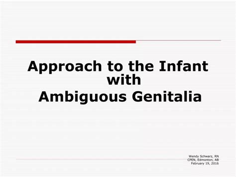 Ppt Approach To The Infant With Ambiguous Genitalia Wendy Schwarz Rn