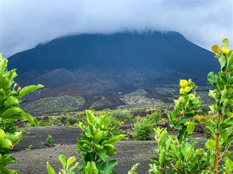 Isla De Fogo Excursi N A La Cumbre Del Volc N Pico Do Fogo Getyourguide