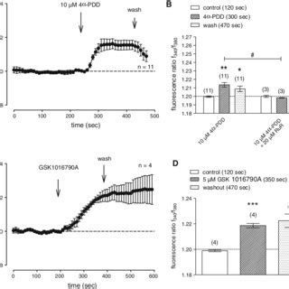 Ca 2 Transients Induced By TRPV4 Activation In HCjE Ca 2 Was