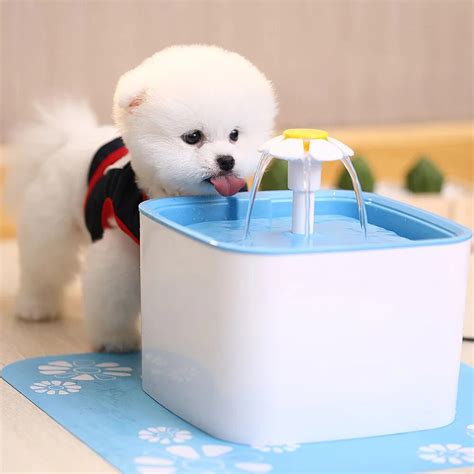 Dog Cat Automatic Water Fountain Indoor Outdoor Square Drinking ...