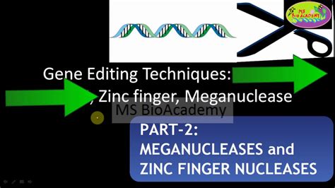 Part Meganuclease And Zinc Finger Nuclease Gene Editing Technique