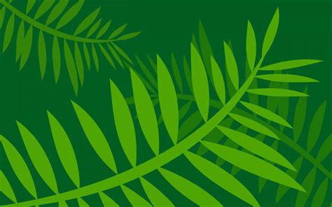 Jungle Leaves Wallpapers Top Free Jungle Leaves Backgrounds