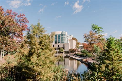 First-Year Students - Undergraduate Admissions - UMBC