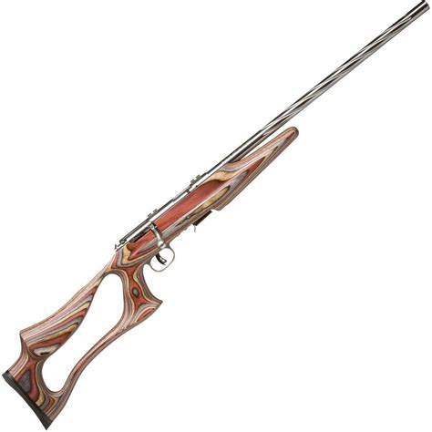 Savage 93 Brj Satin Stainless W Evolution Stock Bolt Action Rifle 22