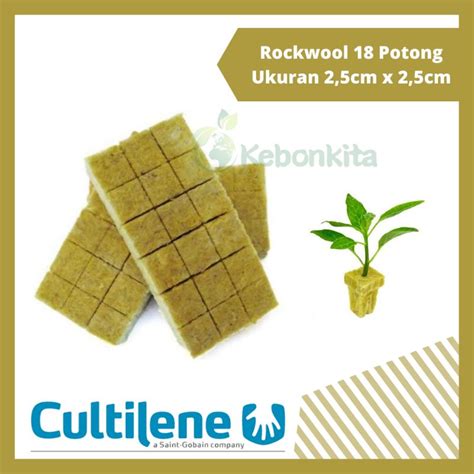 Jual Media Tanam Hidroponik Potongan Rockwool Cultilene 18 Titik Siap