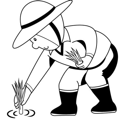 Farmers Clipart Rice Plantation Farmers Rice Plantation Transparent