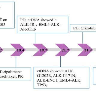 Timeline Of The Patients Treatment History And Plasma NGS Results