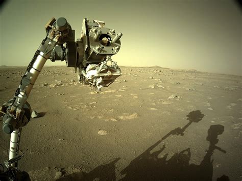 A Month On Mars What Nasas Perseverance Rover Has Found So Far