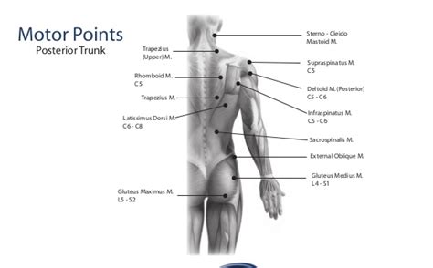 Motor Point Map