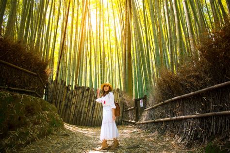 Kyoto Private Photoshoot In Arashiyama Bamboo Forest