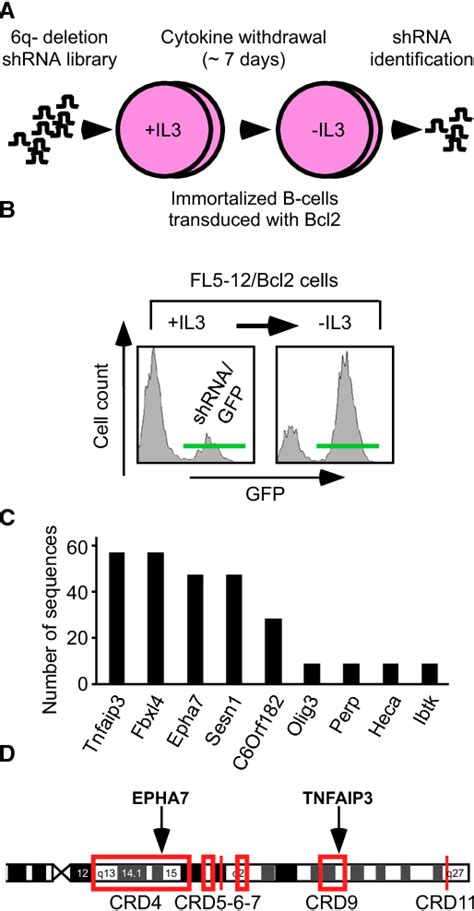 Figure 2 From The Eph Receptor A7 Is A Soluble Tumor Suppressor For