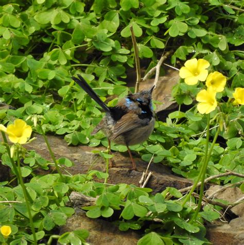 Best Fairy Lake Images On Pholder Fairytaleas Fuck Earth Porn And Pics