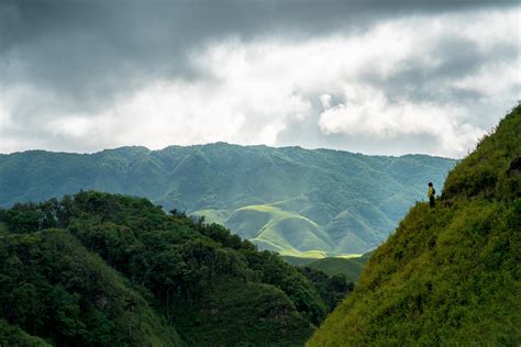 Everything You Need To Know About Dzukou Valley Lost With Purpose