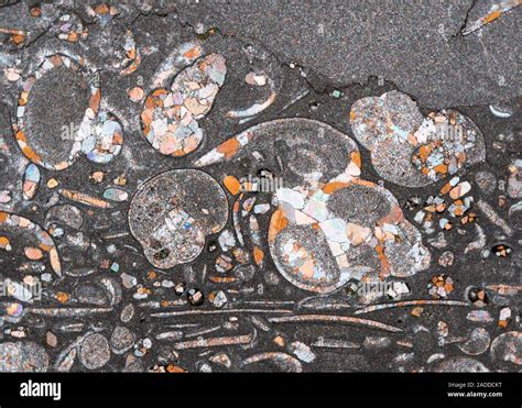 Triassic Limestone Rock Crystals Polarised Light Micrograph This