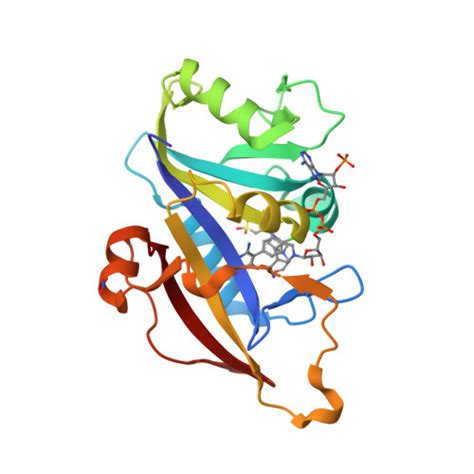 RCSB PDB 8A0Z Crystal Structure Of Candida Auris Dihydrofolate