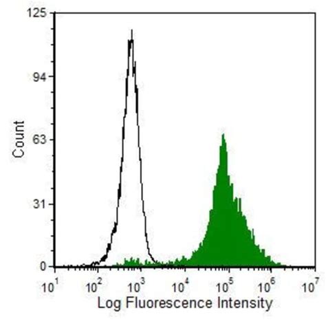 Complement C3b Monoclonal Antibody 6c9 Invitrogen 250 μg