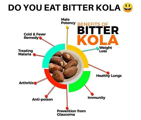 Bitter Kola Benefits Unlocking The Secrets Of This Powerful Nut