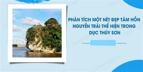 Danh sách 10 đoạn văn và bài viết phân tích vẻ đẹp tâm hồn của Nguyễn