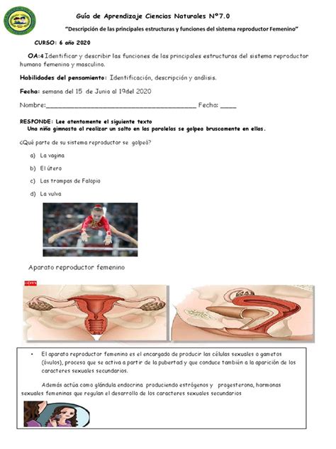 Guía N°7 Ciencias Pdf Sistema Reproductivo Ovario