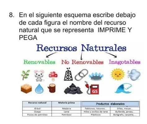 En El Siguiente Esquema Escribe Debajo De Cada Figura El El Nombre Del