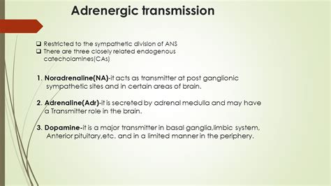 Adrenergic System And Drugs Adrenergic Transmission Adrenergic Receptor