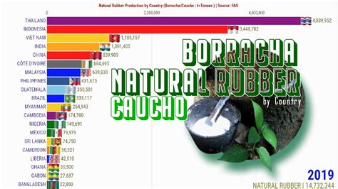 Os Maiores Produtores De Borracha Do Mundo Natural Youtube