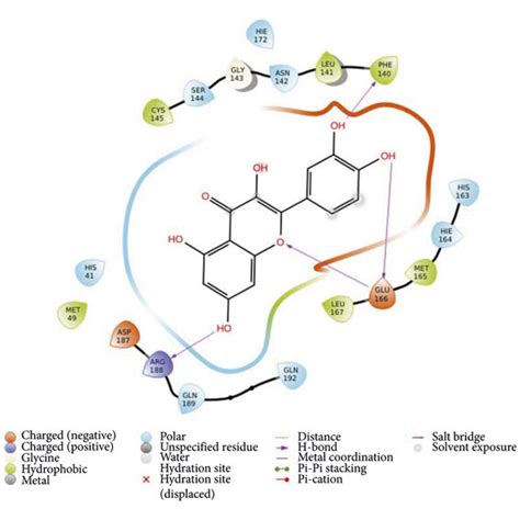 Ligand Protein 2d Interaction Diagram Of Molecular Docking A