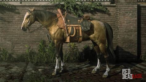 Turkoman Horse | RDR2 Horse Breeds Coats, Locations & Stats