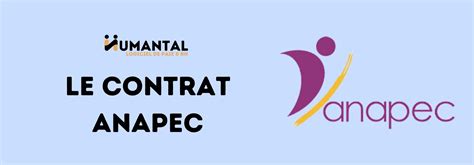 Le Contrat Anapec Au Maroc Guide Complet