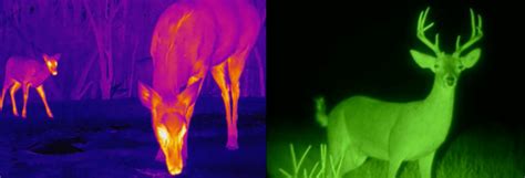 What Is The Difference Between Thermal Imaging And Infrared Imaging Javolvision Infrared